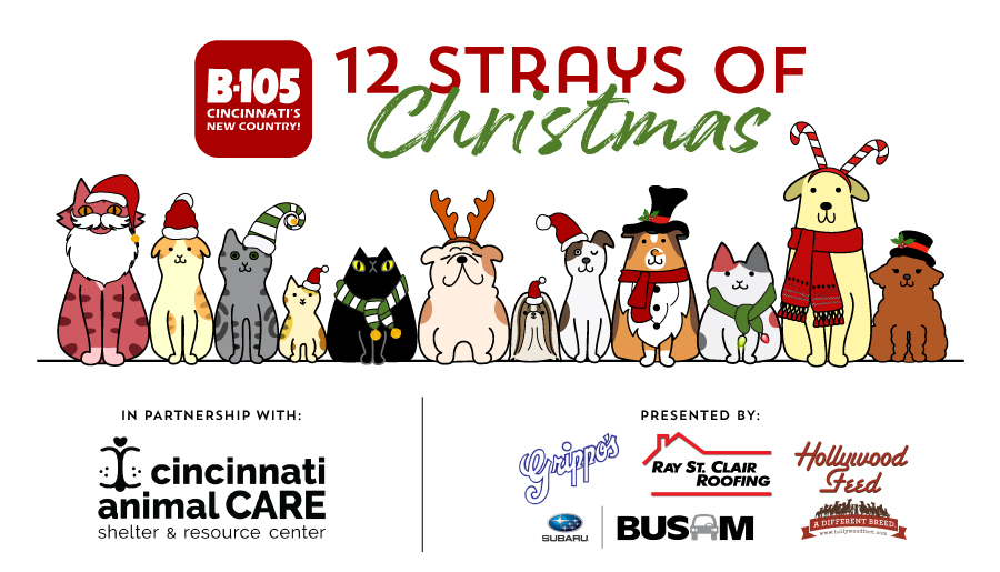 12straysofchristmas 900x515 Wube